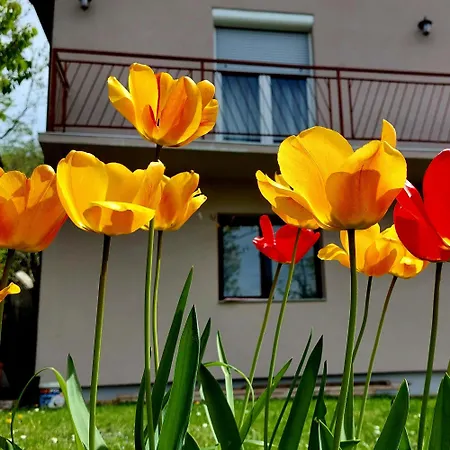 Nada Apartment Banja Koviljaca